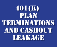 401k_Plans_Cashout_Leakage